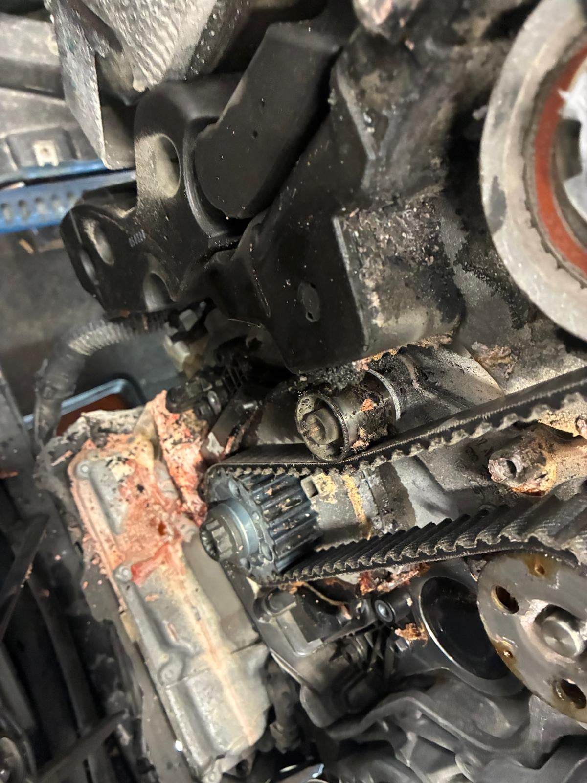 Freigelegter Steuertrieb und Injektorbereich bei Motorarbeiten